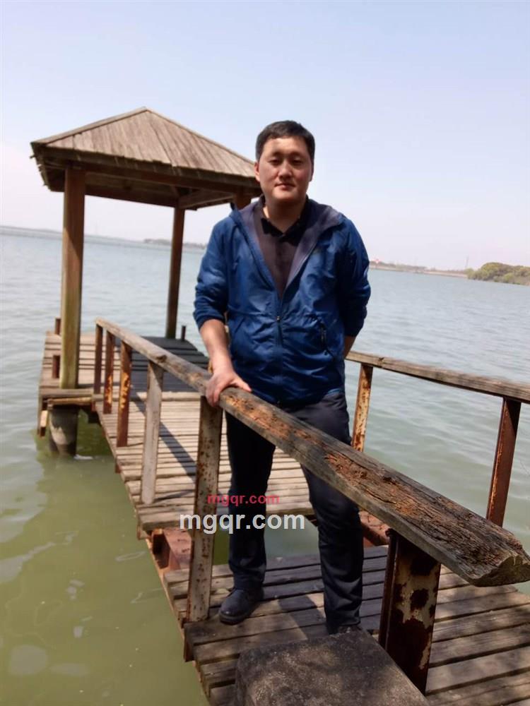 疯狂的蚂蚁的第1张照片