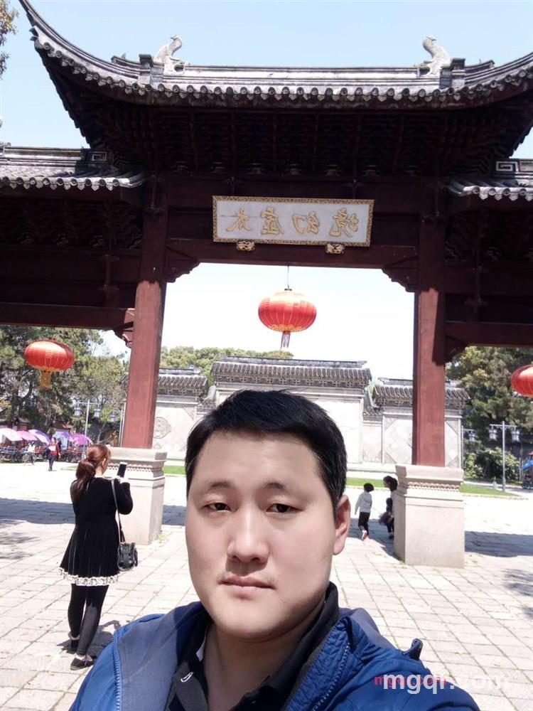 疯狂的蚂蚁的第9张照片