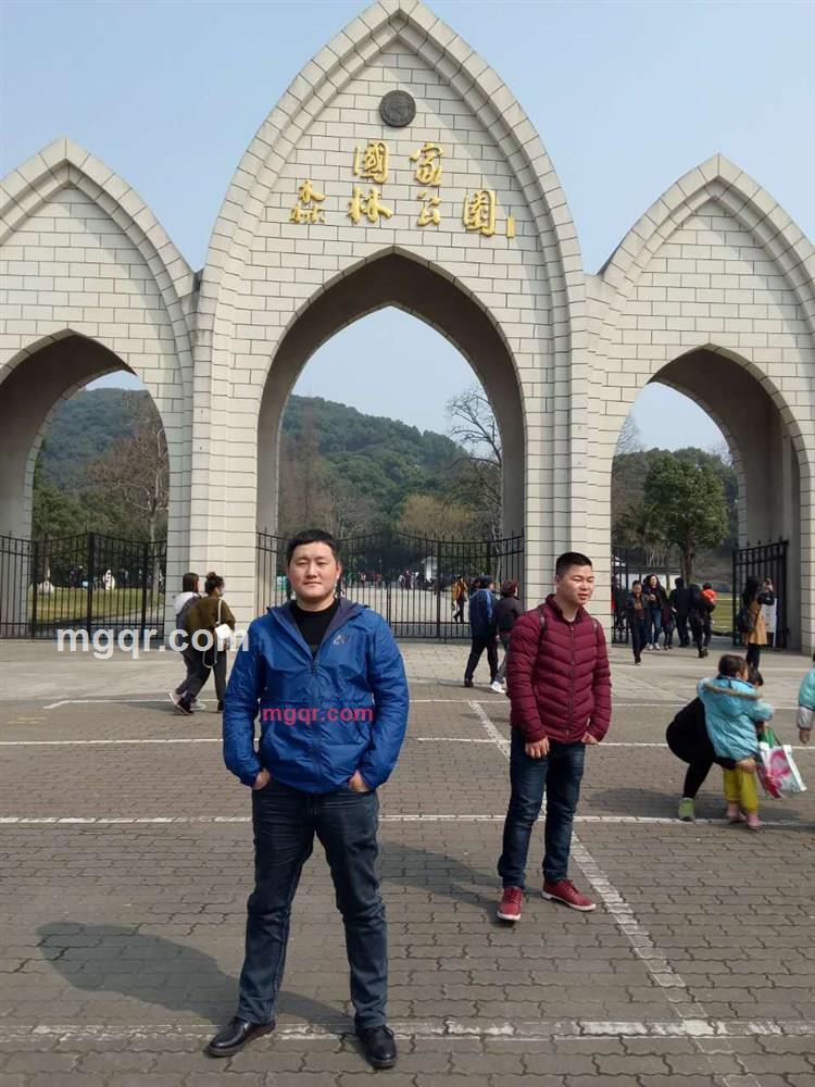 疯狂的蚂蚁的第8张照片