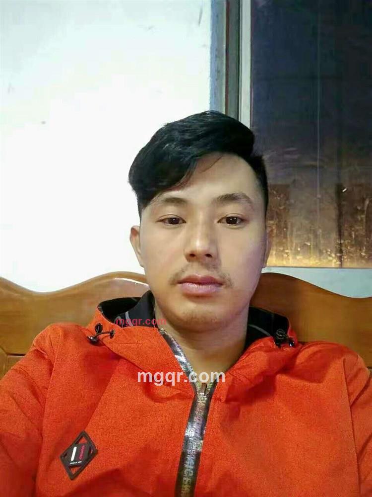 风静树不止的第4张照片