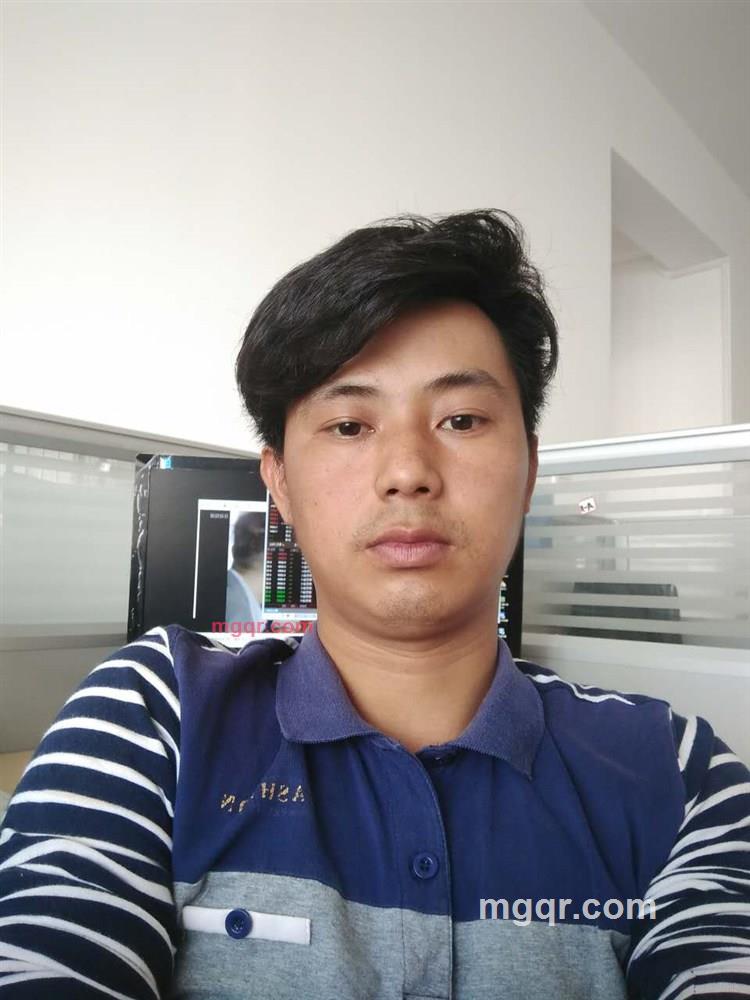 风静树不止的第2张照片