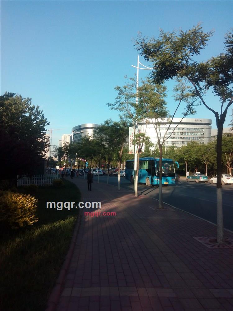 lmhero的第2张照片