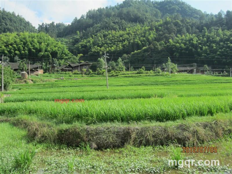 寂寞的温柔技巧的第3张照片