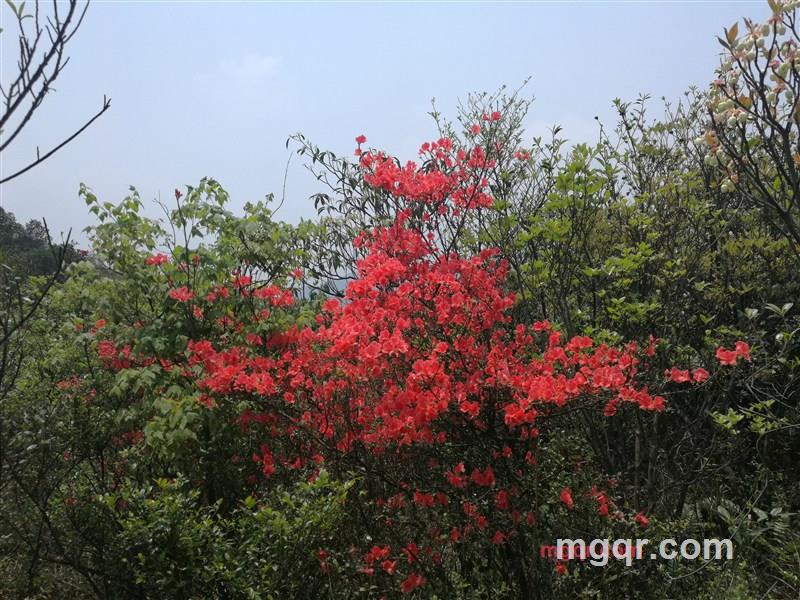 寂寞的温柔技巧的第4张照片