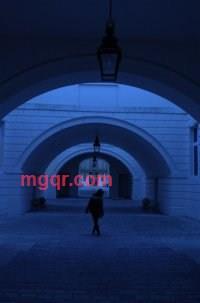 somecool的第5张照片