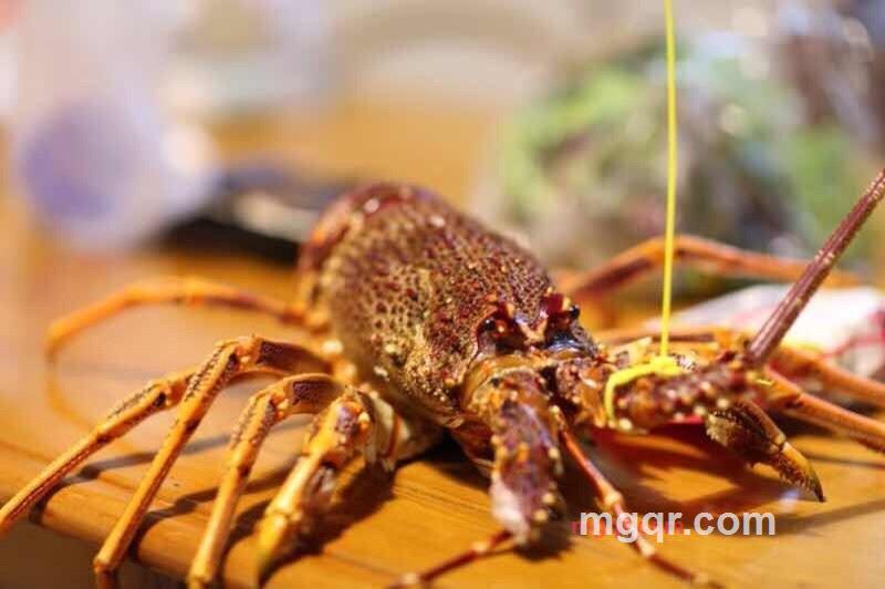 somecool的第3张照片