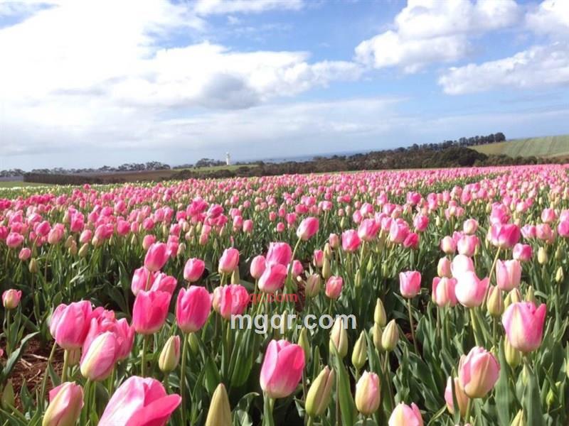 somecool的第2张照片