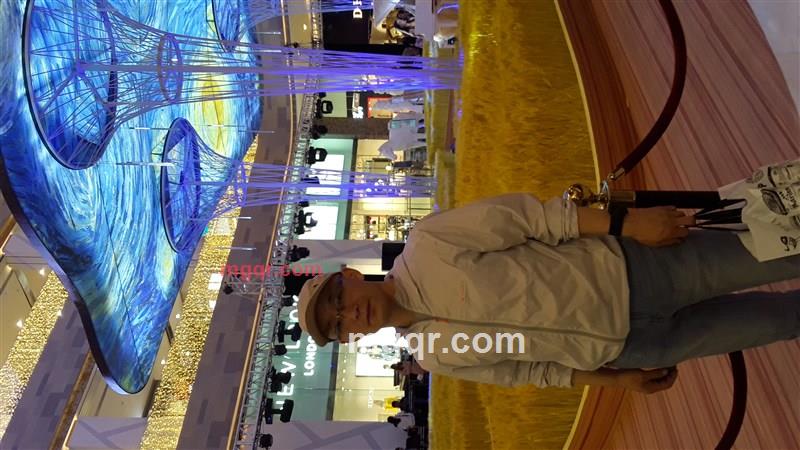 栖息的苍鹰的第4张照片