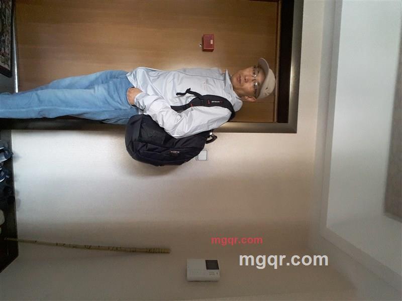 栖息的苍鹰的第3张照片