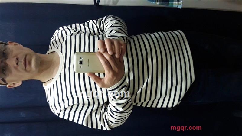 栖息的苍鹰的第1张照片