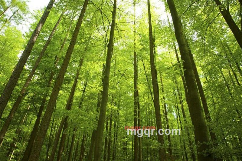 林浩的第1张照片