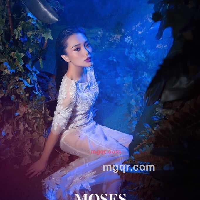 荒唐的猫头鹰的第1张照片