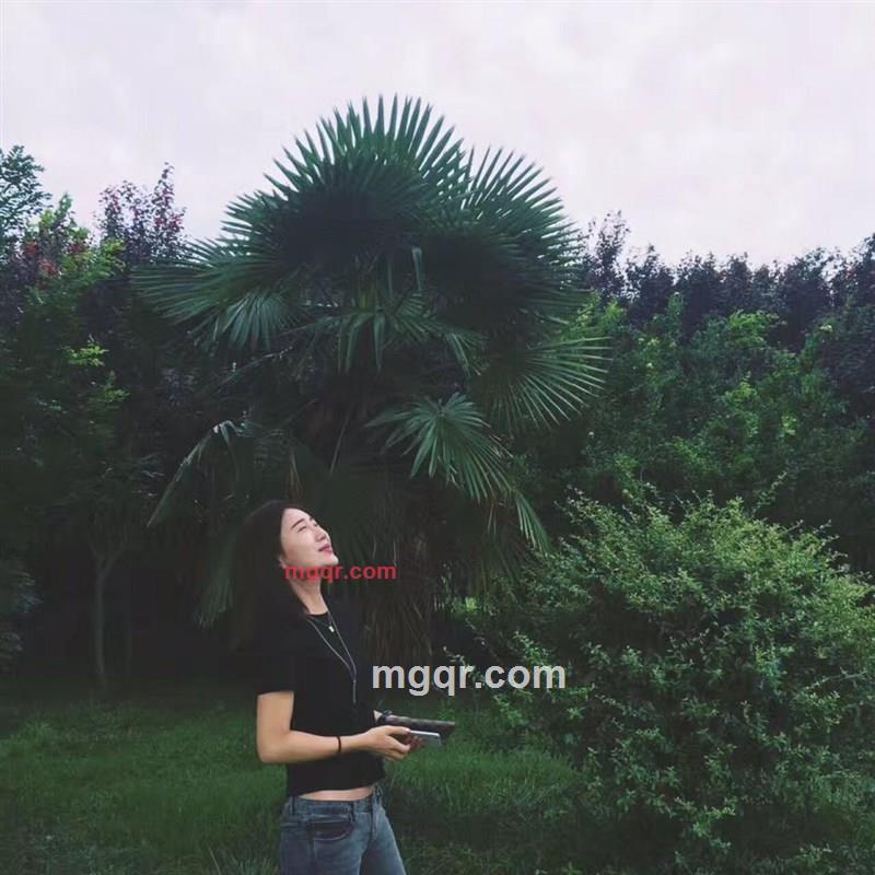 大喜i的第2张照片