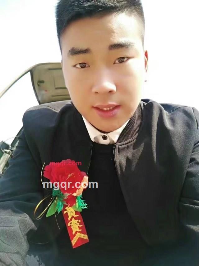 倔强的驴.的第2张照片