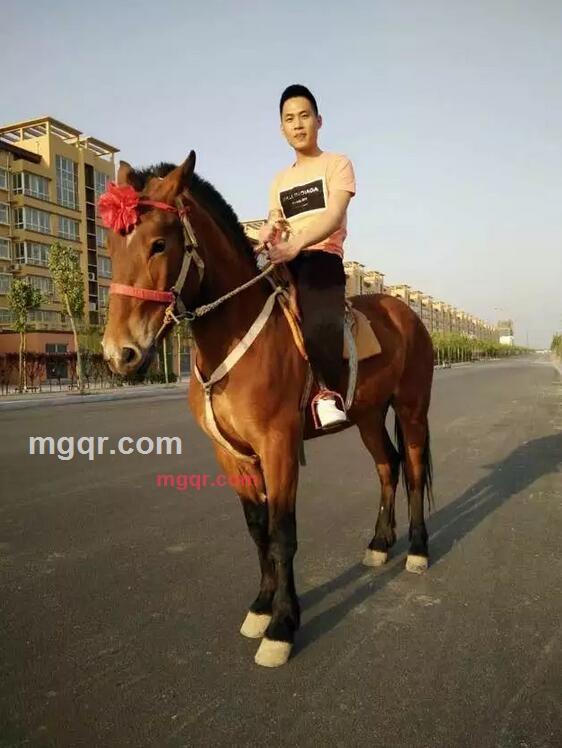 需要直播软件加我的第1张照片