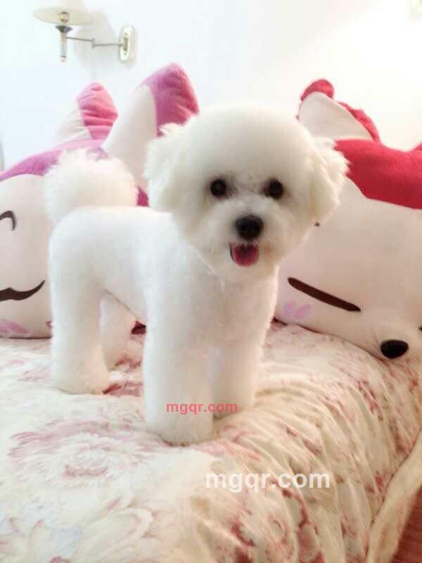 贤颖的第2张照片