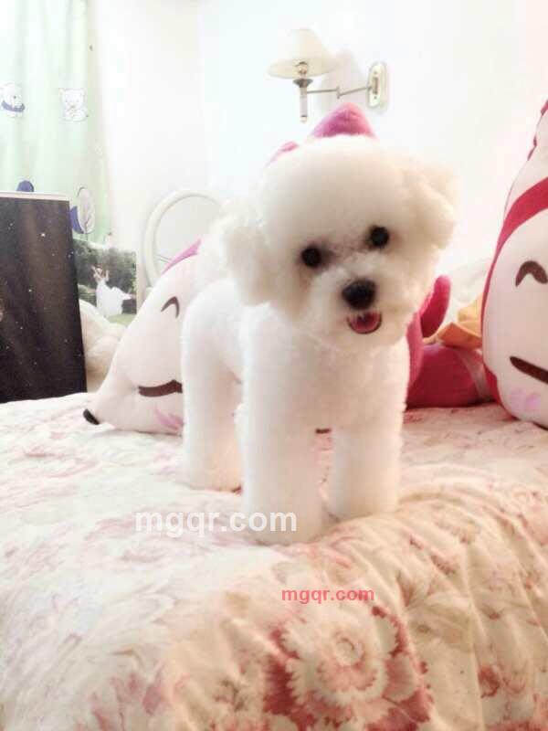 贤颖的第1张照片