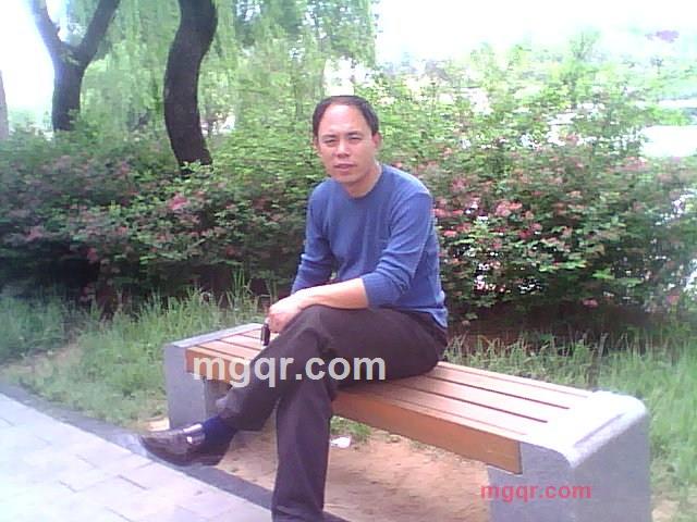 孤枝鸟的第1张照片