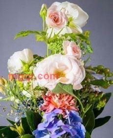 梦之兰的第3张照片