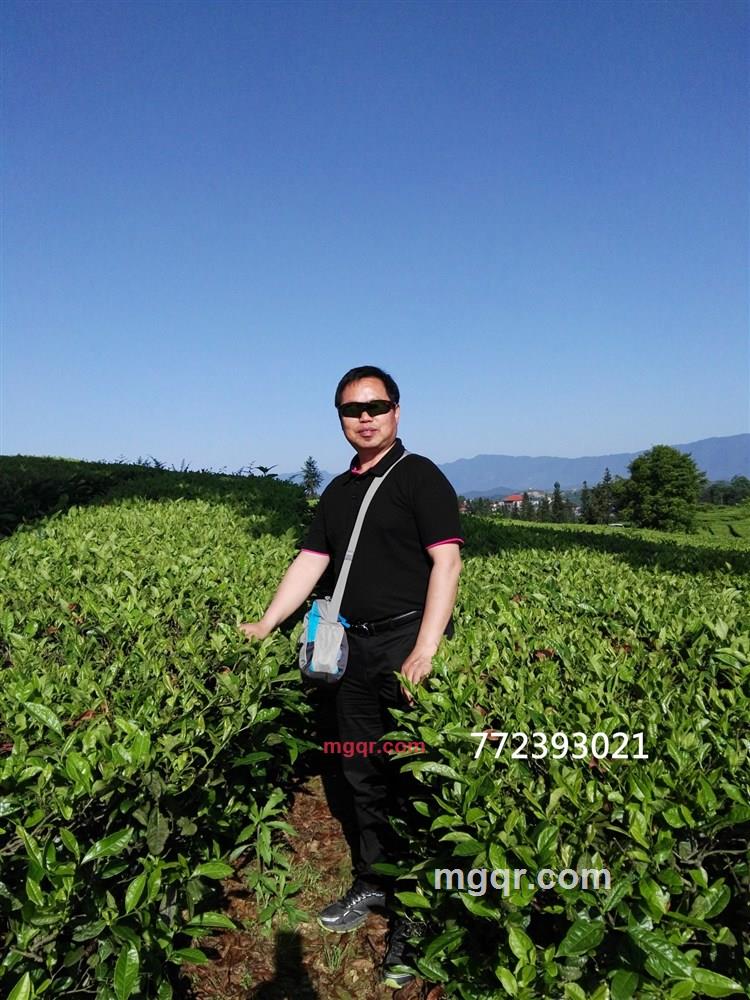 春风化雨雨的第6张照片