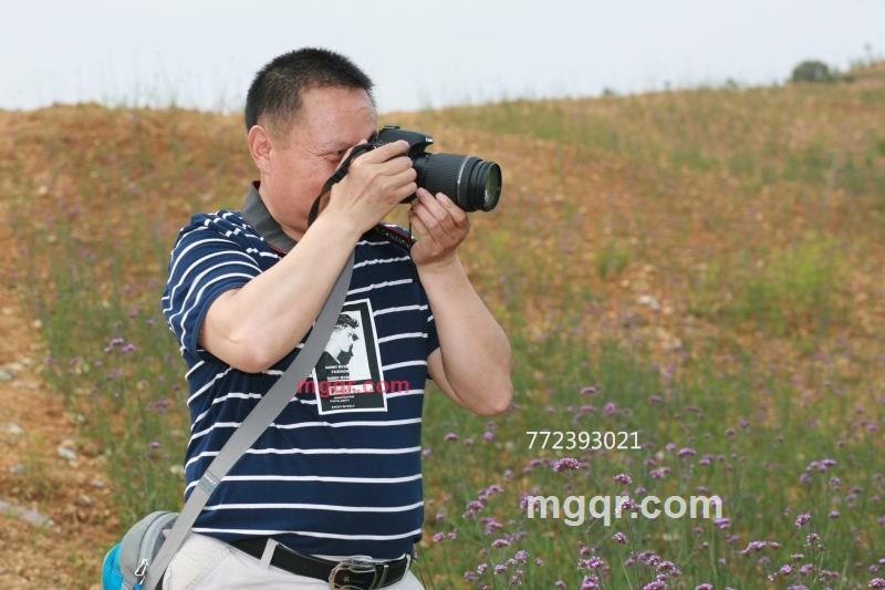 春风化雨雨的第7张照片