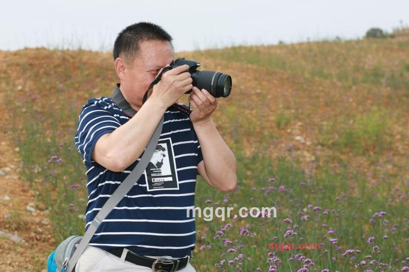 春风化雨雨的第2张照片
