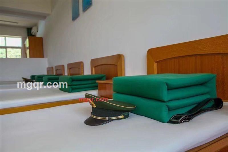 梦中情话的第1张照片