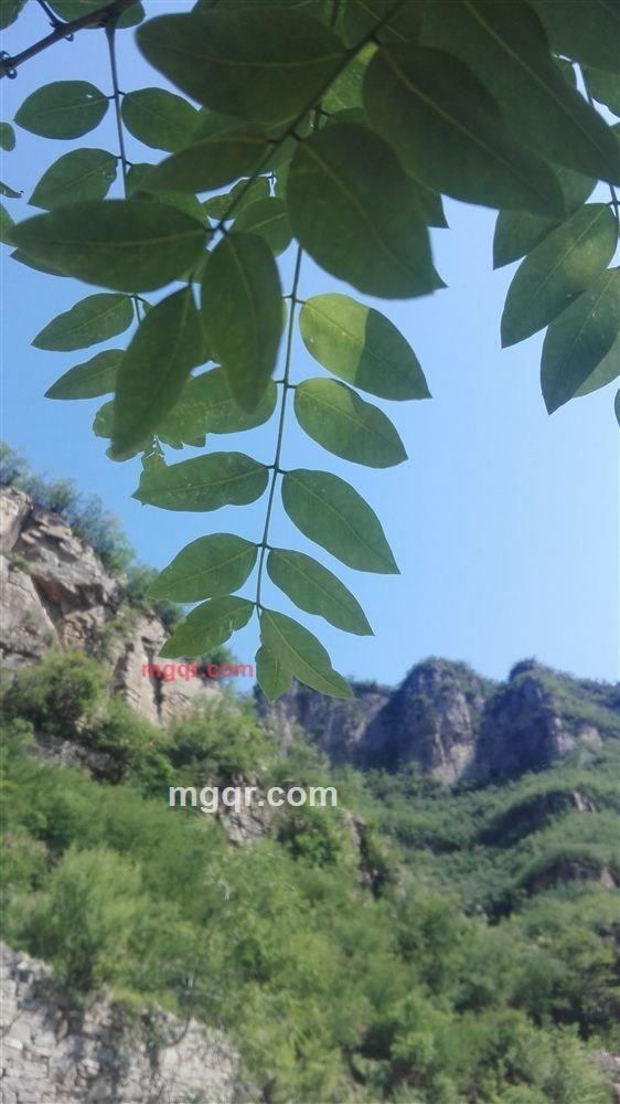 不离不弃的第1张照片