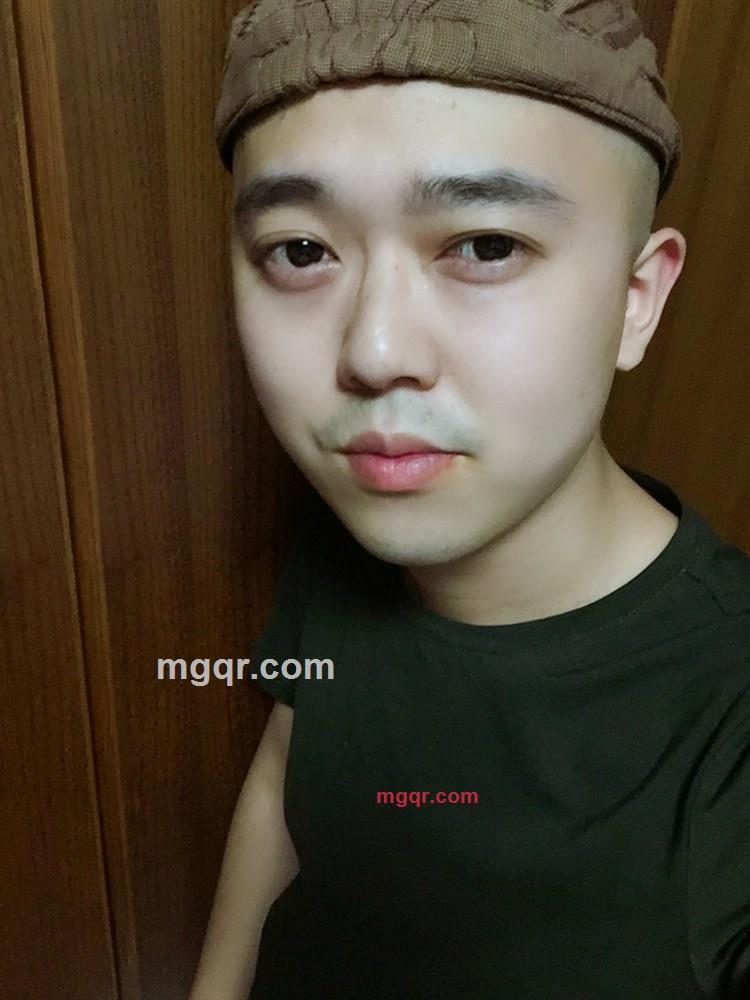 斑点狗的第2张照片