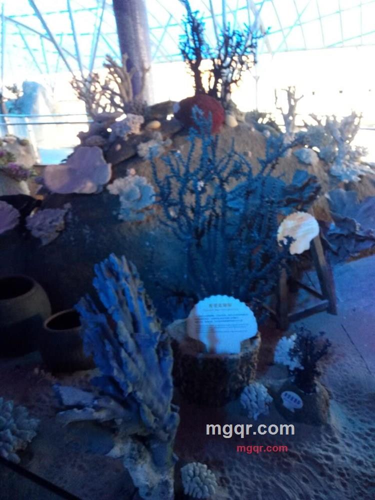 能量超人的第3张照片