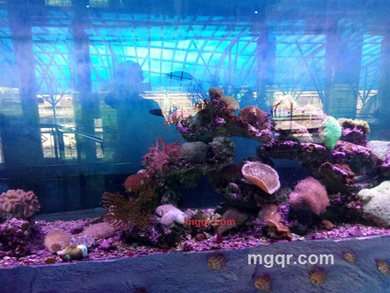 能量超人的第4张照片