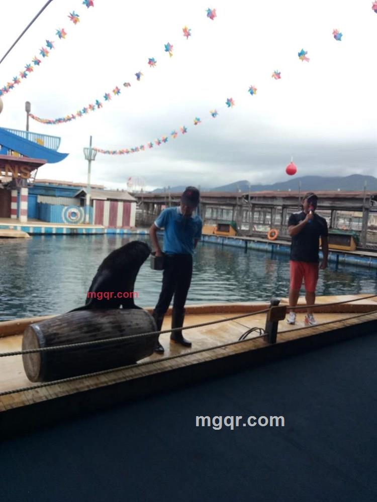 能量超人的第1张照片