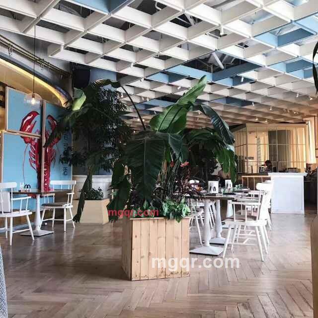 兰儿——的第1张照片