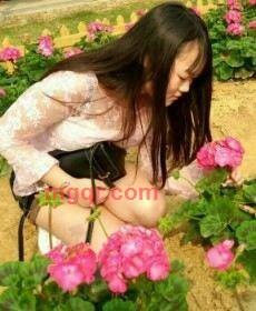 梦之兰的第1张照片