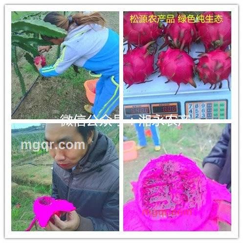 几许风雨呢的第3张照片