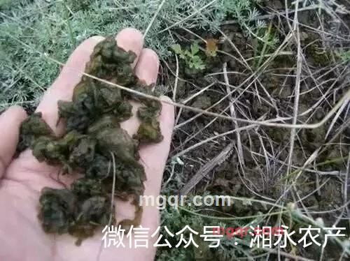 几许风雨呢的第1张照片