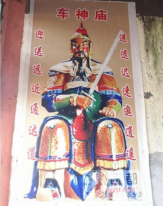 醉猫爱上鼠的第1张照片