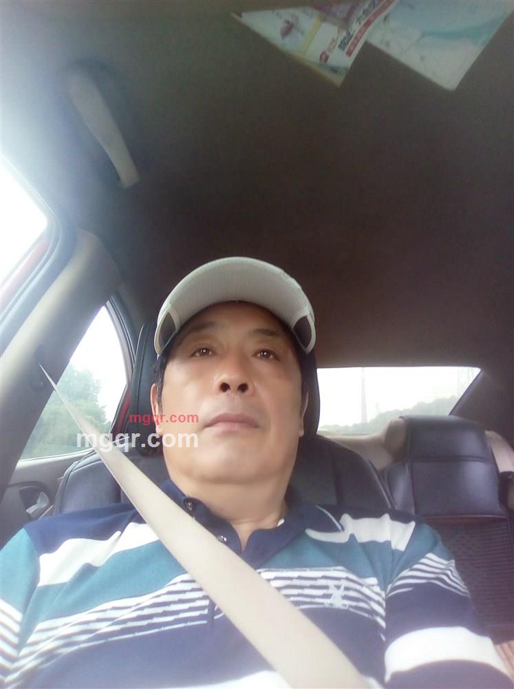 老松常青的第2张照片