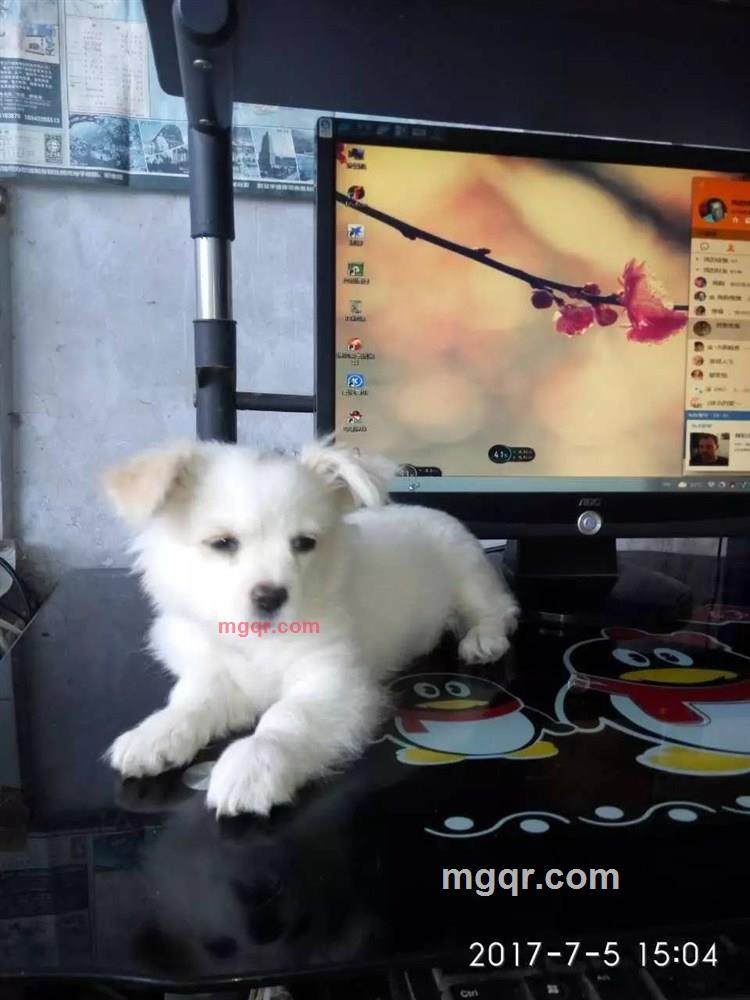 海韵惜缘的第1张照片