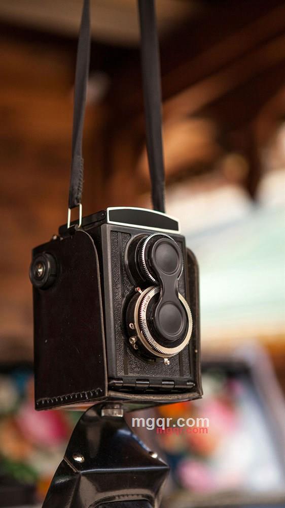 二茬韭菜的第1张照片