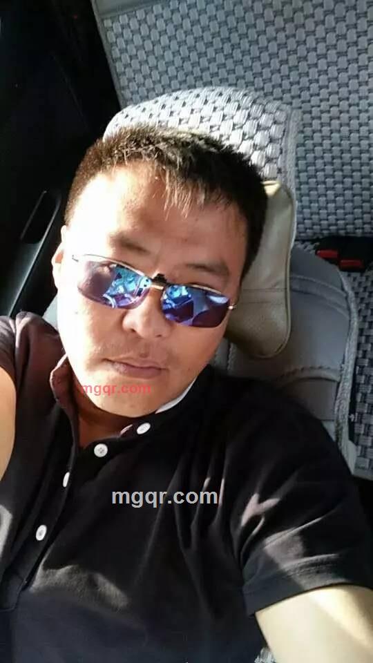 黑色雪狼的第1张照片