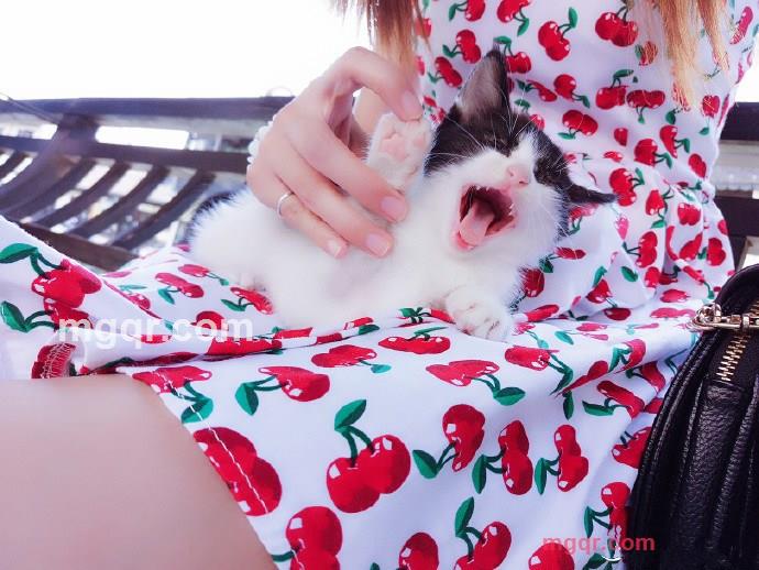 旧时光曾落泪的第1张照片