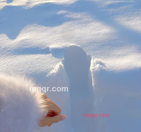 Affection..的第5张照片