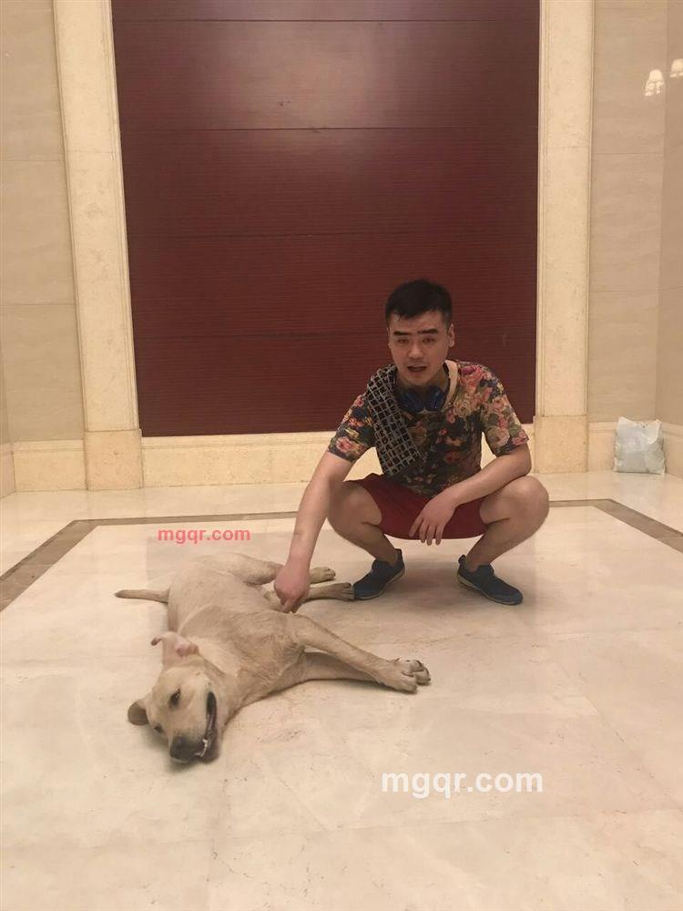 冷静的沙滩裤的第1张照片