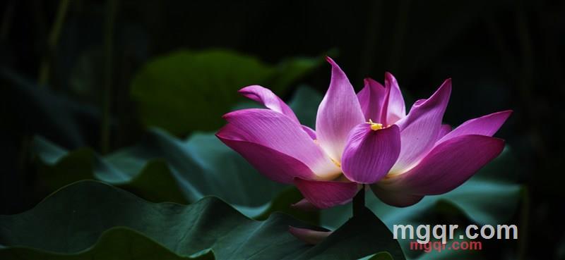 江峰的第2张照片