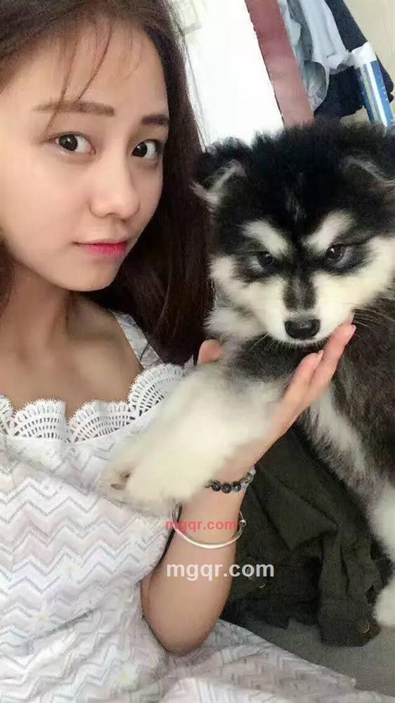 何必讷的第4张照片