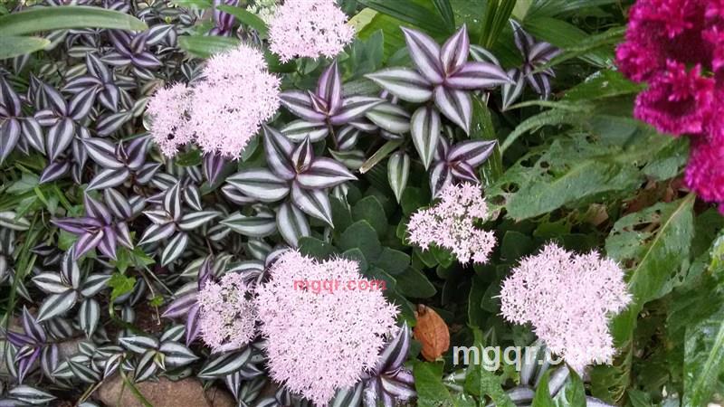 ETFL的第5张照片