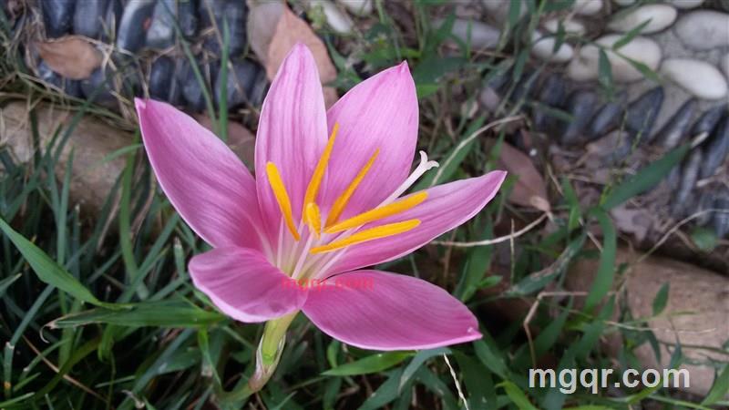 ETFL的第4张照片