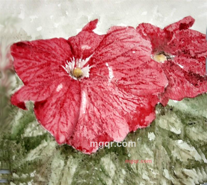 ETFL的第3张照片