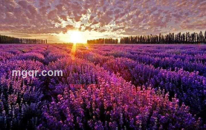 海天流云的第1张照片